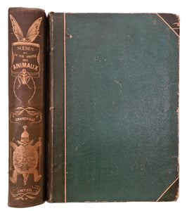 GRANDVILLE | Scènes de la vie privée et publique des animaux. Vignettes par Grandville. Etudes de moeurs contemporaines publiées sous la direction de P.-J. Stahl avec la collaboration de MM. de Balzac, L. Baude, E. de La Bédollière, P. Bernard, ...